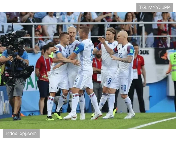 乌克兰力压冰岛获小组第二 将参加附加赛争夺